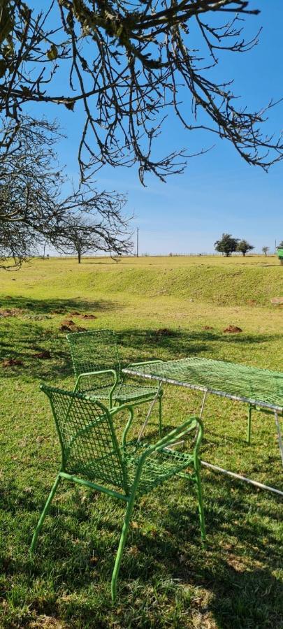 Green Thumb Farm Stay Ermelo Zewnętrze zdjęcie